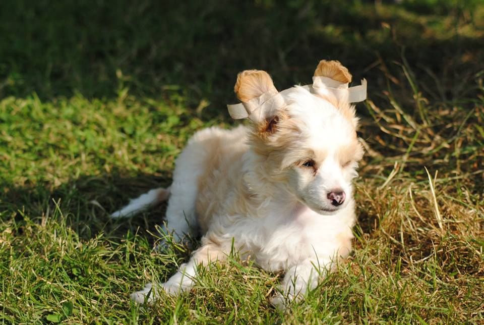 1001199_10200152106032471_881058779_n