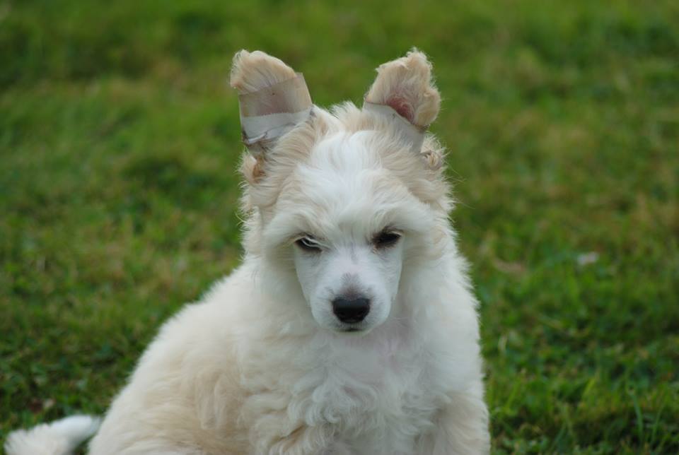 1002303_10200206730958060_1579956632_n