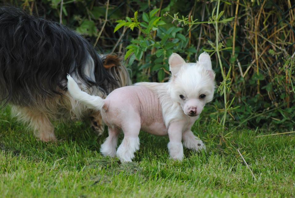 1002451_10200094175744250_1279939054_n