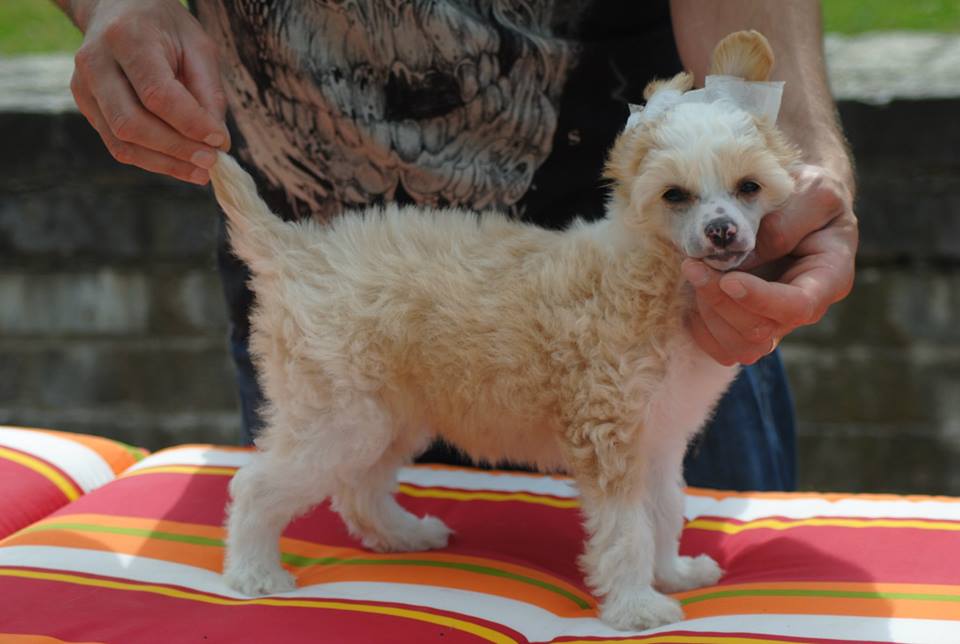 1016893_10200206735158165_164423669_n