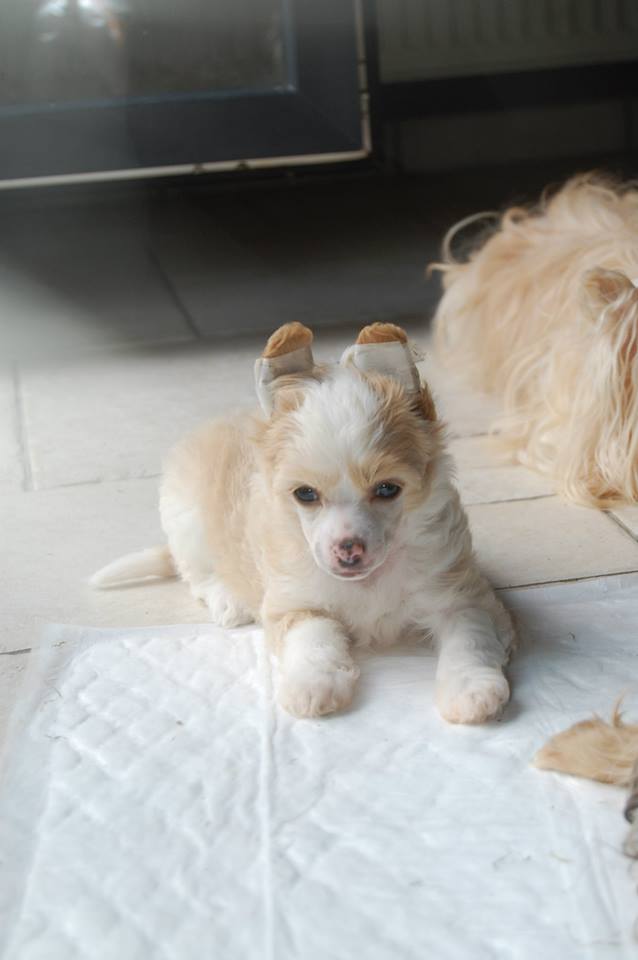 1069894_10200094157823802_472530222_n1111111111