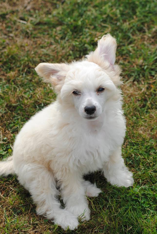 1098517_10200255366533919_1661647845_n