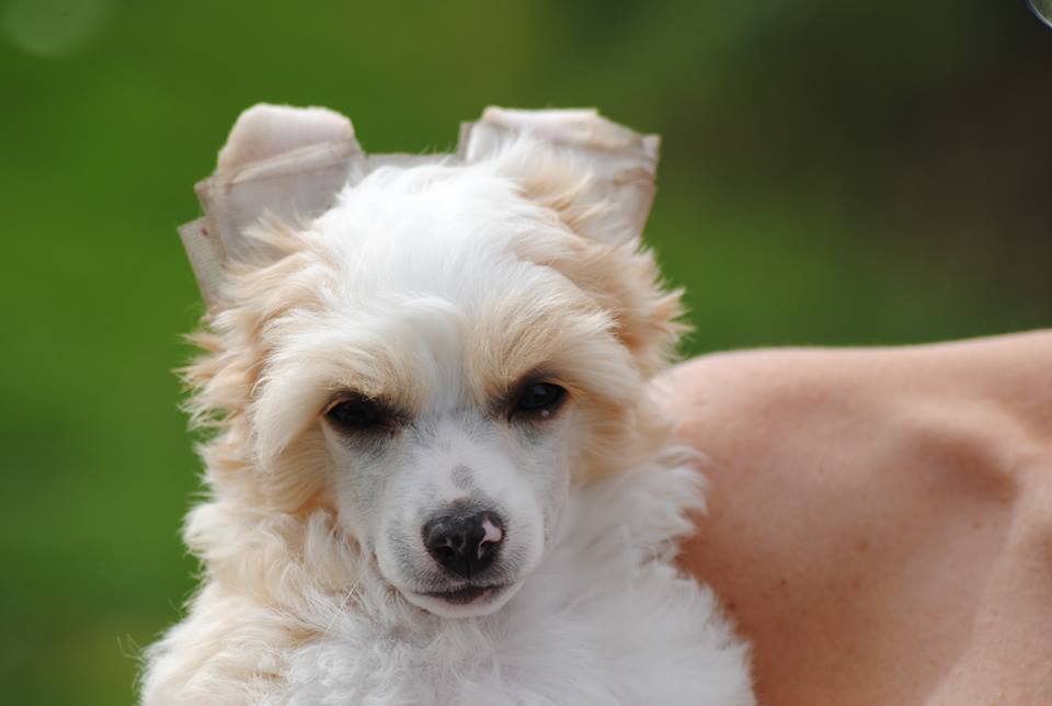 1148894_10200255371774050_1039690957_n