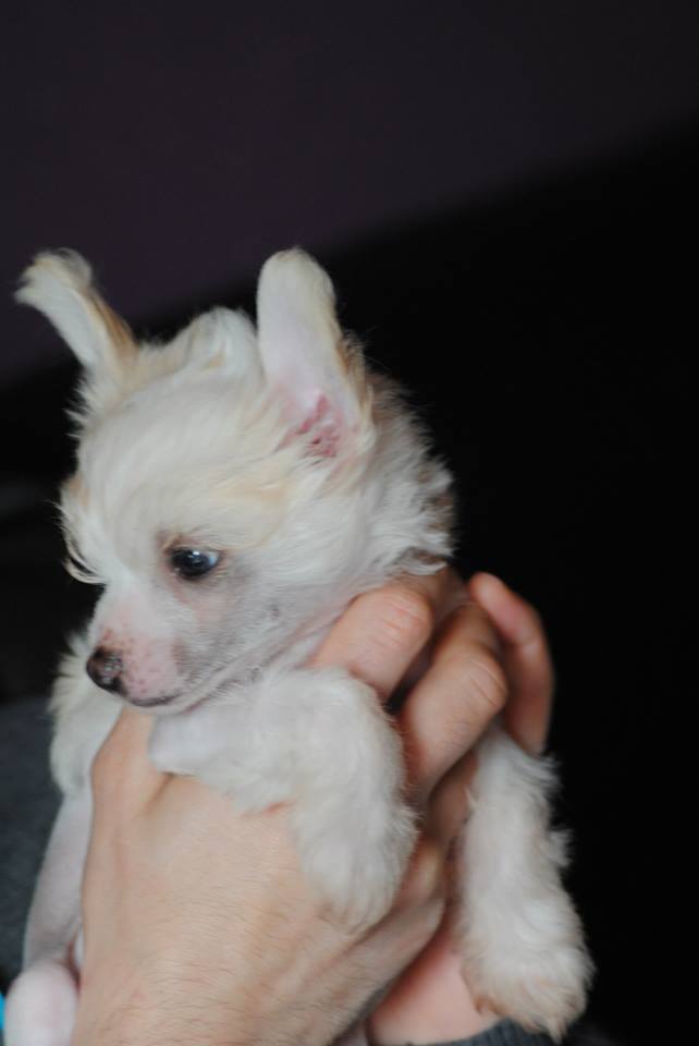 1173589_10201568714646801_134709526_n