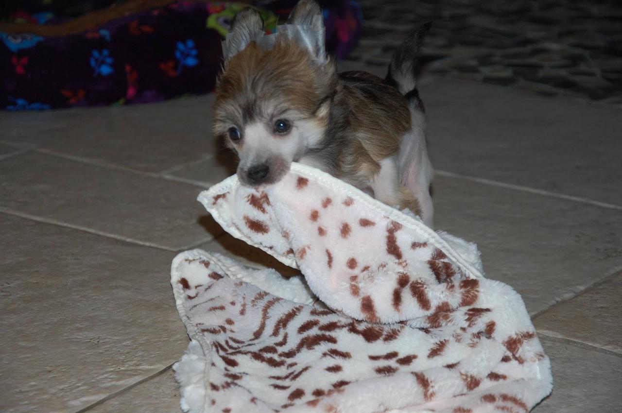 12466365_10205366945560200_2525258657322822608_o