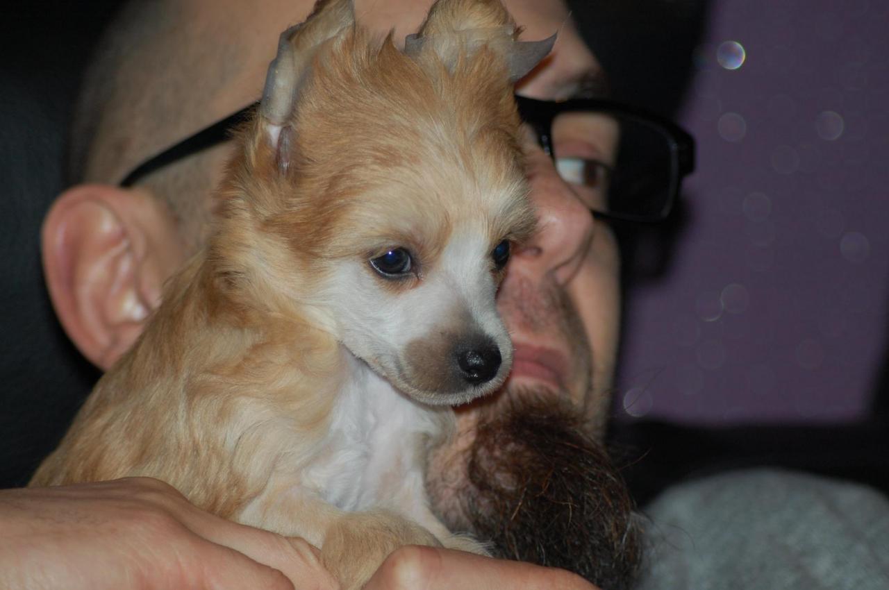 12471475_10205366947280243_782392498389669670_o