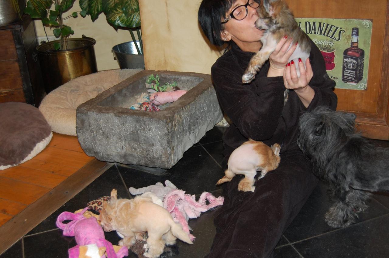 12473979_10205410705814179_8755738481184963860_o