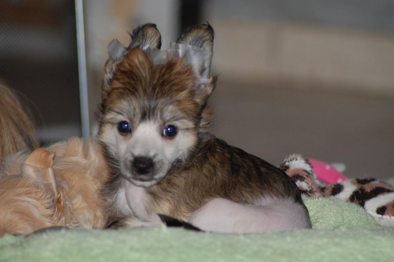 12485840_10205366946520224_945299699695465450_o