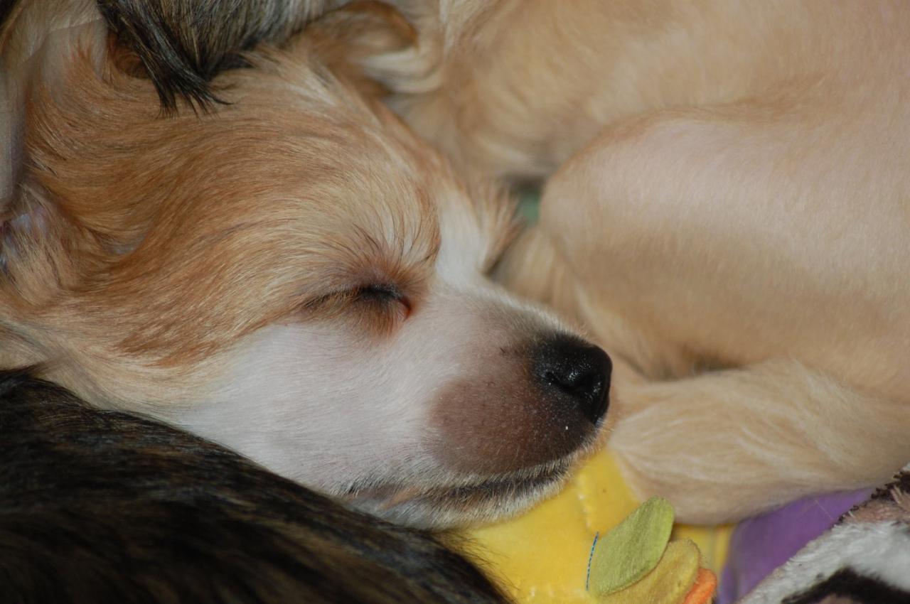 12489234_10205370074878431_4939850070543486292_o