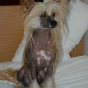 150320_3719164504776_2144060668_n[1]