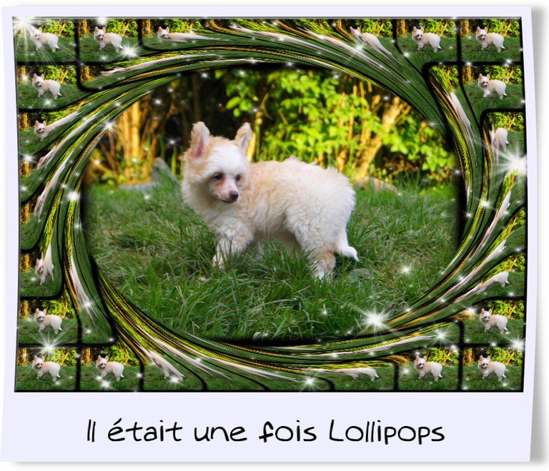 154557_3228656162374_1815535690_n[1]