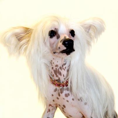 195921_4501168402511_1755690964_n[1]