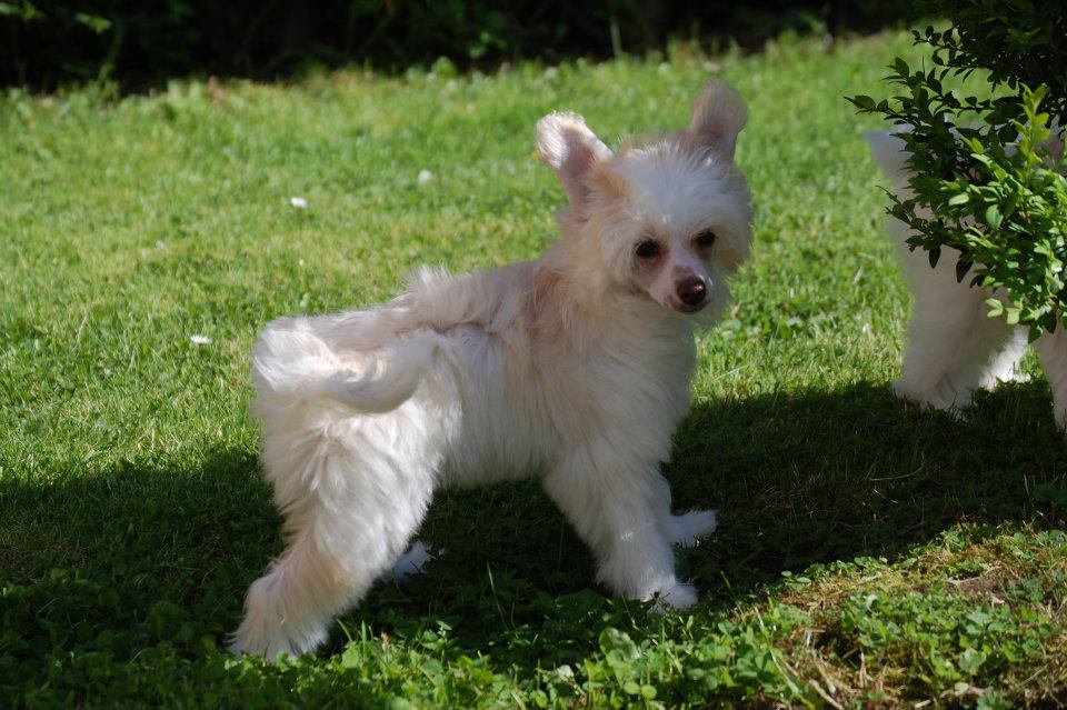 197788_3323600335919_1412022838_n[1]