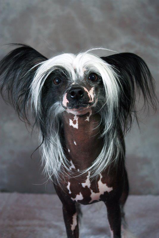 311056_2208355335491_773273879_n[2]