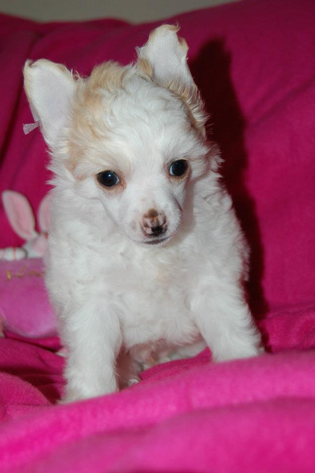 398202_3042571910384_1445696847_32122401_178531556_n[1]