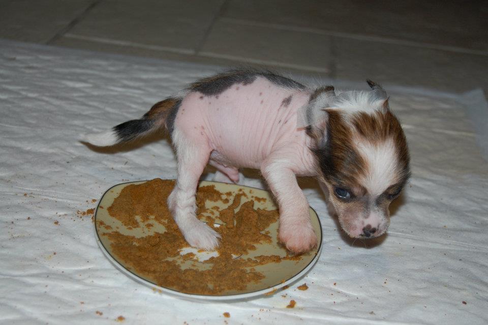 527405_2927655517546_91744651_n[1]