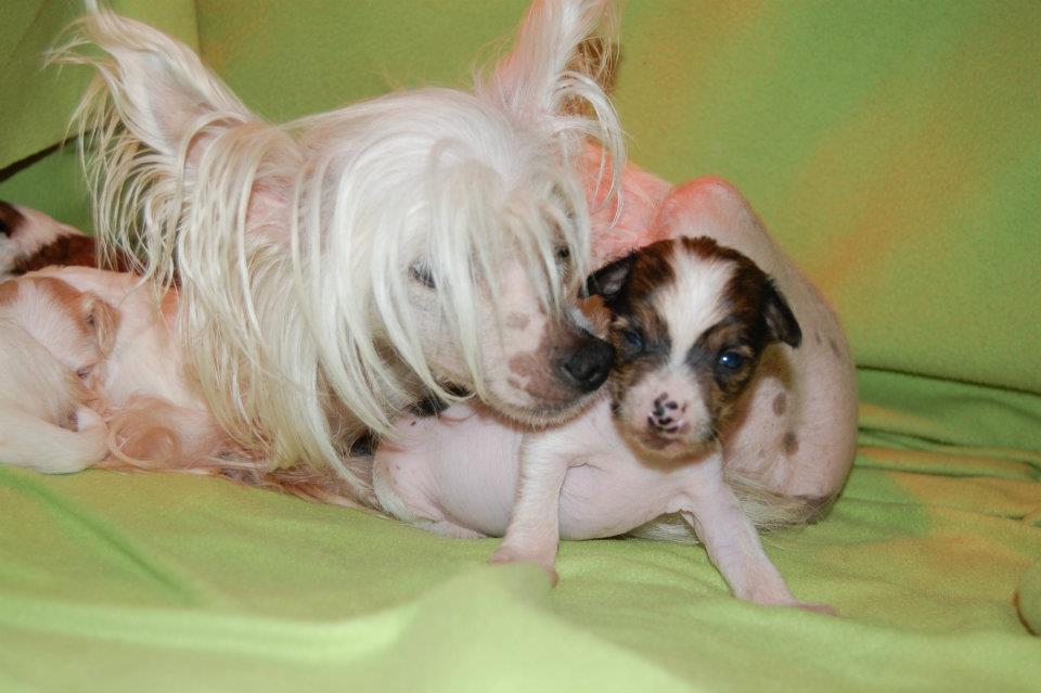 541852_2896742064729_1445696847_32060155_1869204422_n[1]