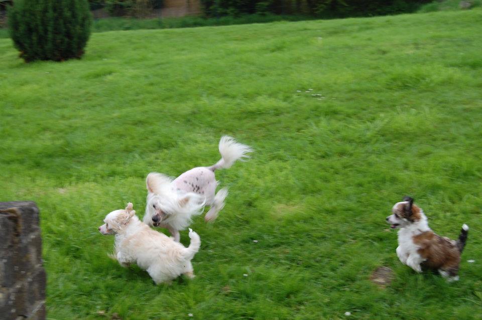 543691_3144388135726_1445696847_32141698_1506710059_n[1]