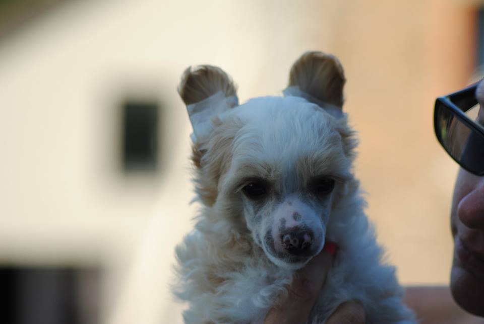 544418_10200160243155894_1628155324_n