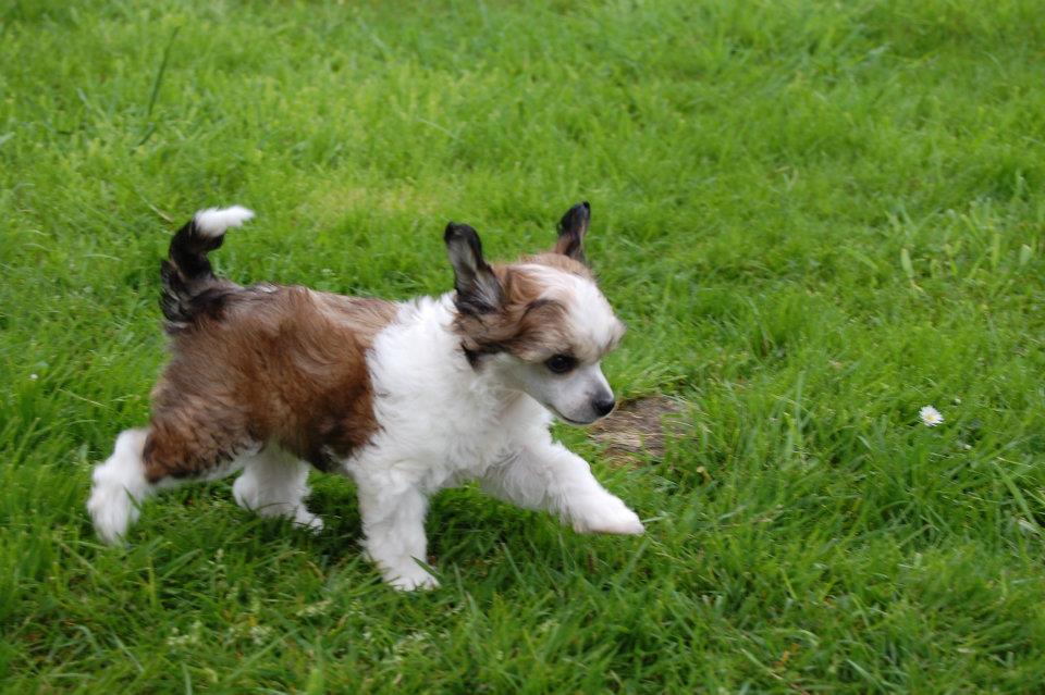 546019_3144379735516_1445696847_32141689_1967560025_n[1]