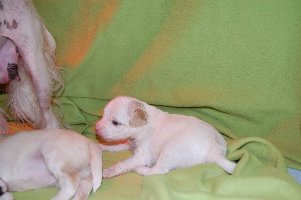 561876_2896745544816_1445696847_32060162_1200083678_n[1]