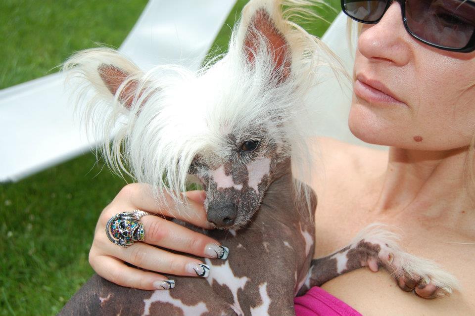 563406_3349030211650_1058659404_n[1]