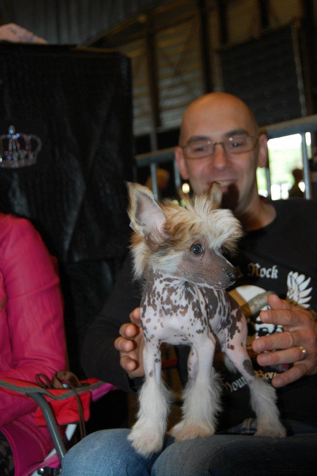 575226_3297652807247_1509470729_n[1]