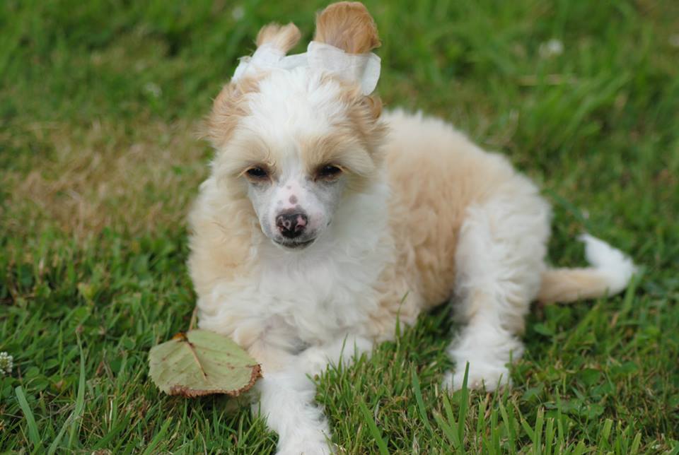 580512_10200206739998286_2085463_n