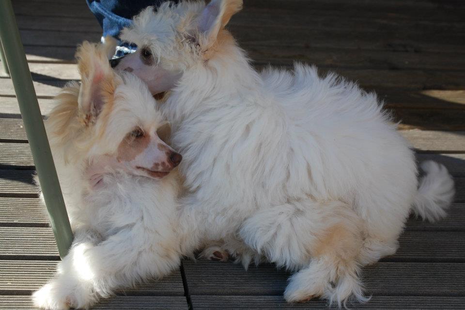 598769_3323603736004_254912046_n[1]