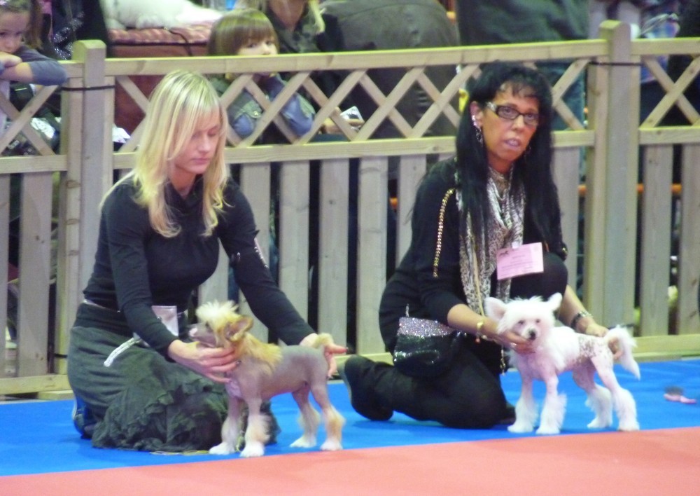 5de5a899bd09d8b62010056dc03d081b[1]