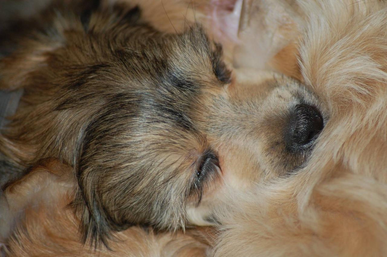 920620_10205370074918432_3902409070397888658_o