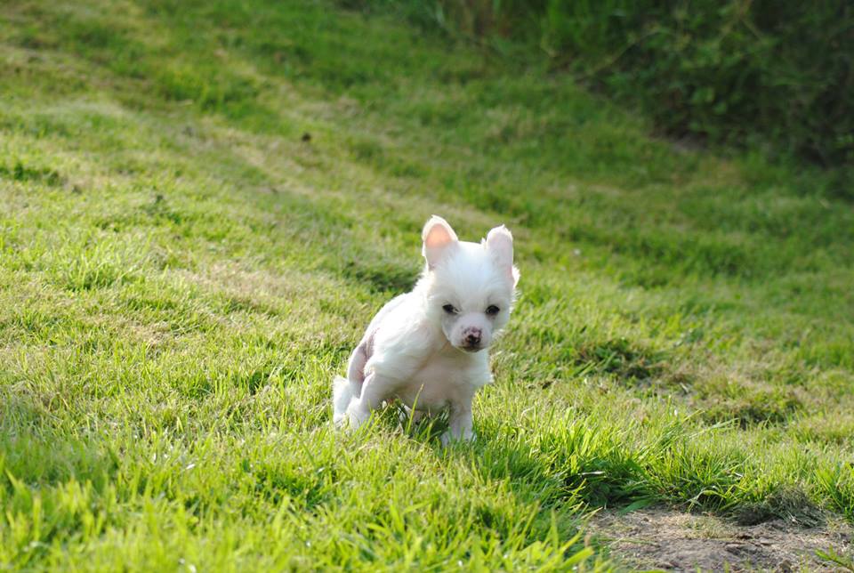 934966_10200094175584246_893588305_n