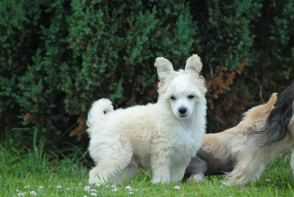 970141_10200206736438197_2126018666_n