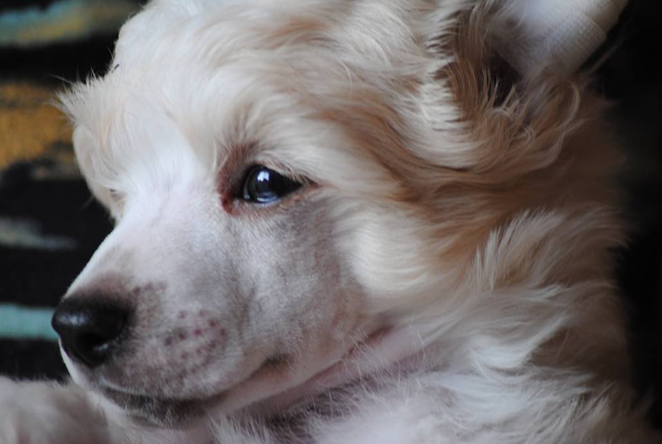 972224_10200101757373786_2110518092_n