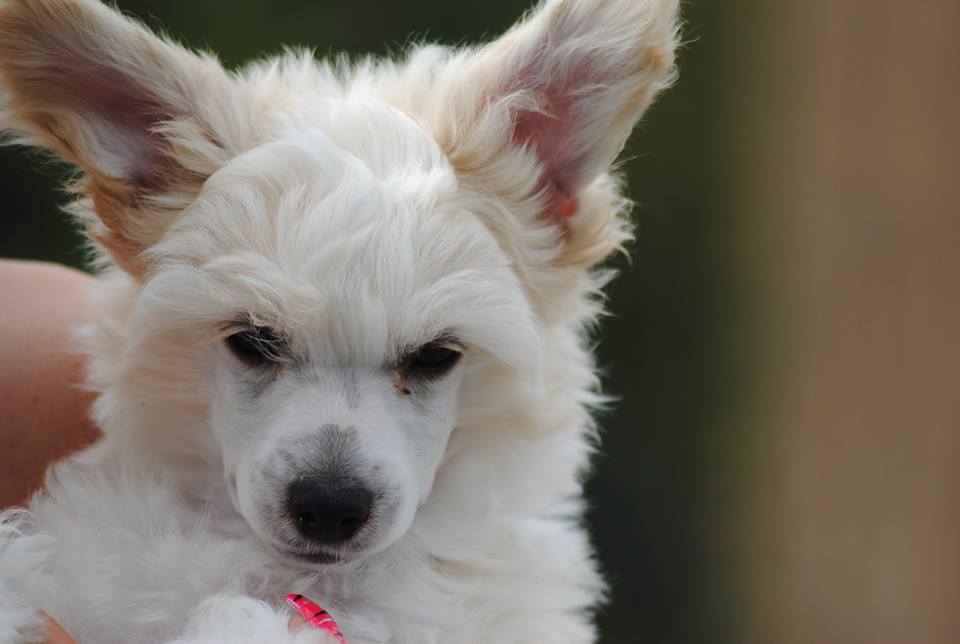 993676_10200255367173935_1119075507_n