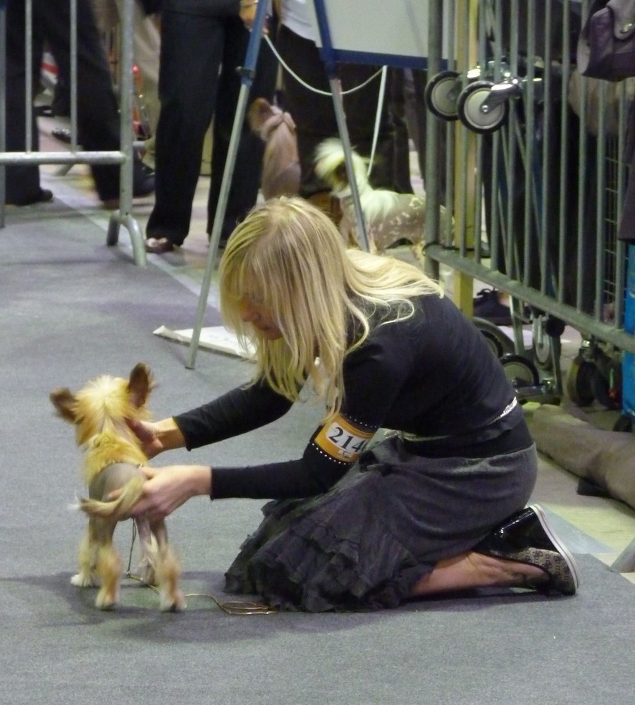 d1f6a7591c4ec5403bd0b86bf79fa5f2[1]