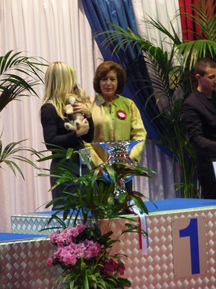 fd7d4ff85df7b7974221f4bfdbaa5eda[1]