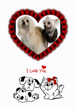 C'est pas beau l'amour..