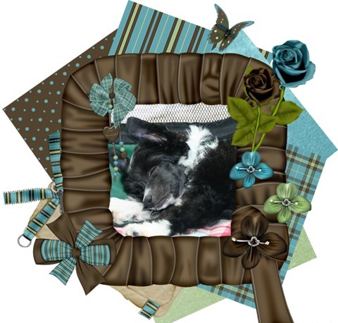 Le petit fantôme...