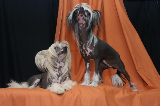 Deux chinois prennent la pause..