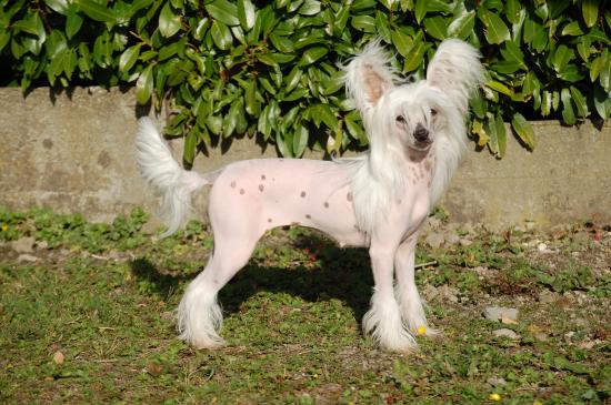 Game Girl prend la pause