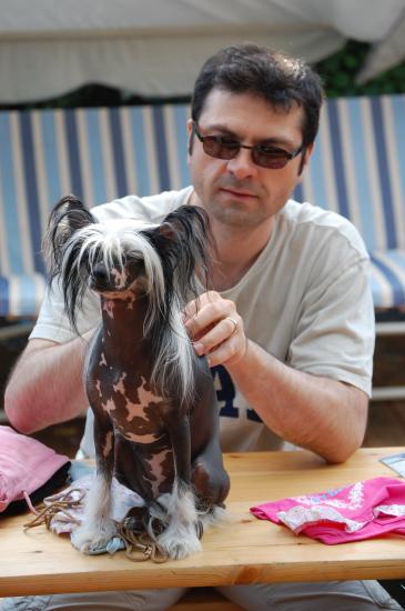 Petit massage pour Mystik avant l'effort