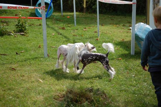 Allez, un peu d'exercice!