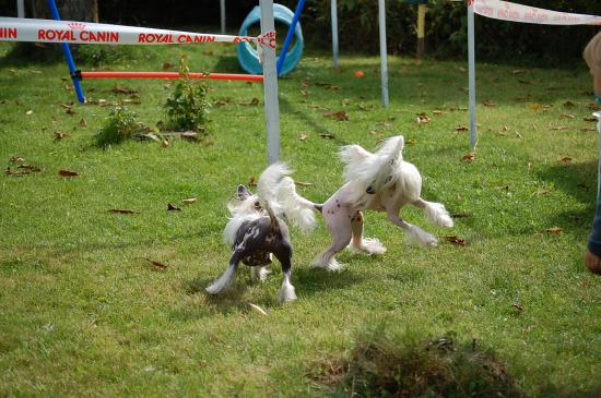 Chouette week-end aussi pour les chinois!