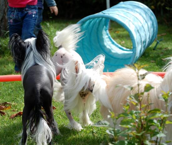 Qu'est ce que c'est ce tunnel...Mystik reste prudente...