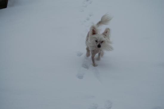 Notre téméraire game girl qui a maintenant 2 ans.