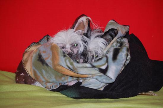 Ben quoi, il fait frisquet...