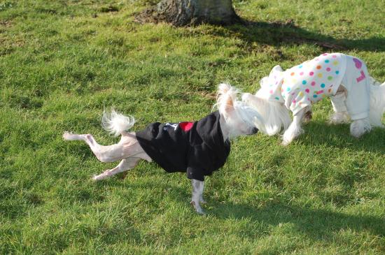 Extension du matin...