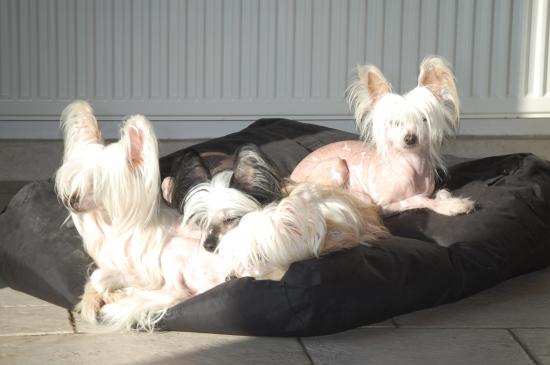 Petite pause au soleil