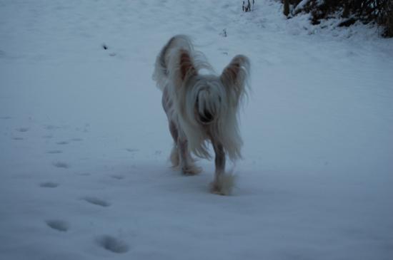 Dur dur la neige.....